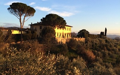 FLORENCE FASHIONABLE&BEAUTIFUL