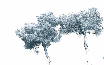 Remembrance of things lost.