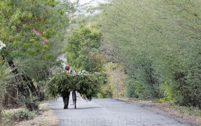 THE POWER OF PEACE AND TIME
