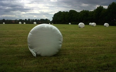 IBIZA-HOLANDA A MATTER OF TASTE