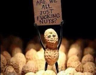 Complete peanuts! ..or nuts…