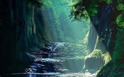 Recognition of beauty!