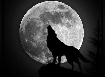 The Full Moon 23 January, throw me to the wolves and I’ll come back leading the pack.