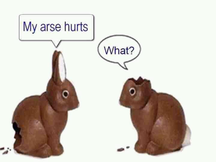 hehe Rabbits life