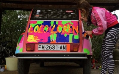 Last news on the little duck !