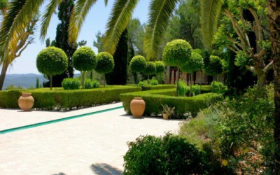 Another beautiful Ibiza