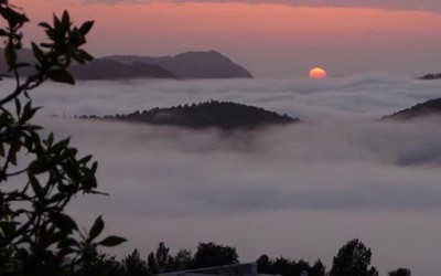 Good morning Ibiza !