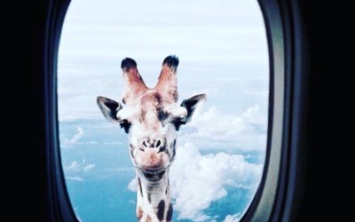 Oh wanderlust again..