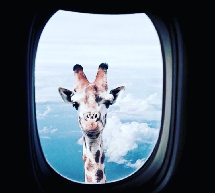 Oh wanderlust again..