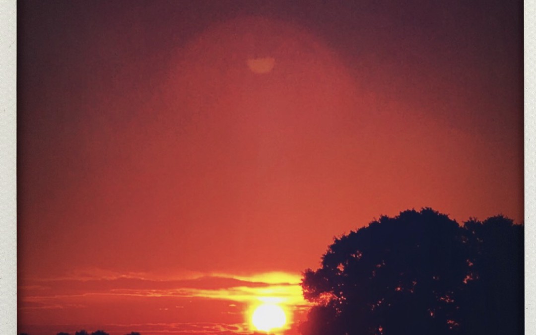 Sunrise