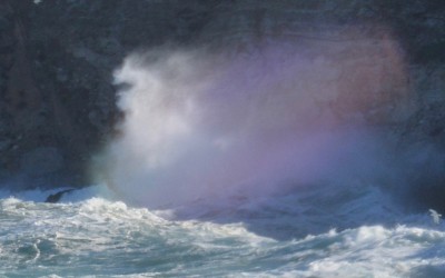 Faces of the sea