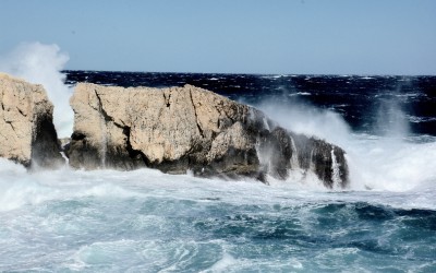 So wild!