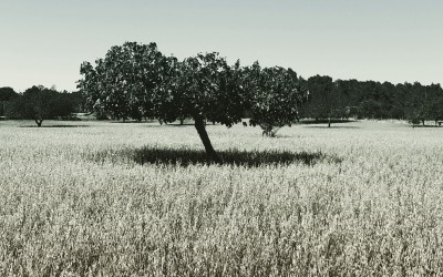 Summer arrived
