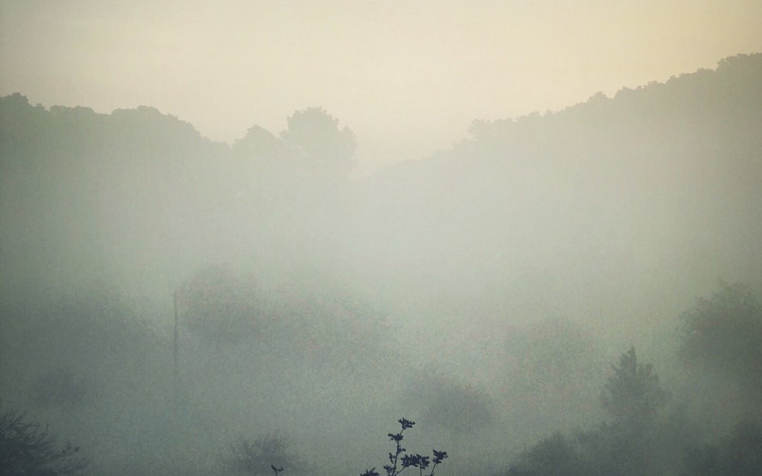 Misty mornings