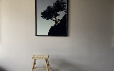 Sabina tree on the wall