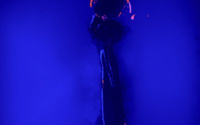 Day&night Show